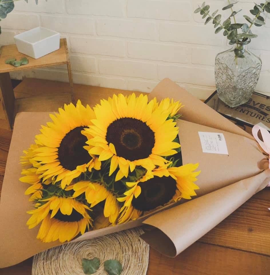 Imagen del producto: Molly IV