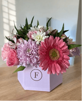 Imagen del producto: Anna VII