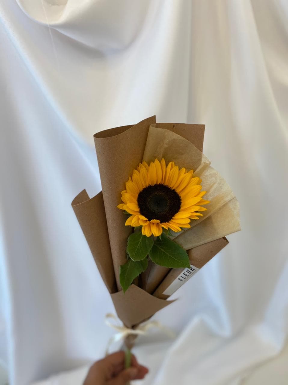 Imagen del producto: Molly I