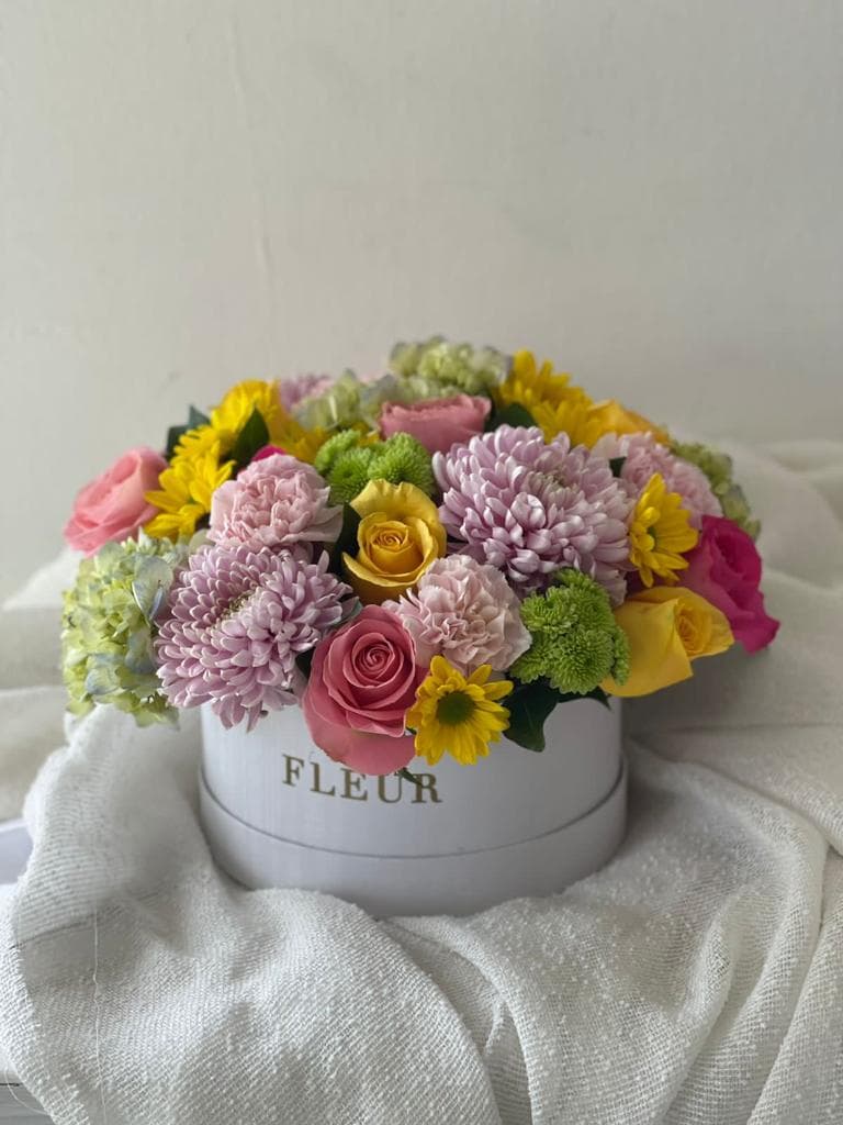 Imagen del producto: Aria II