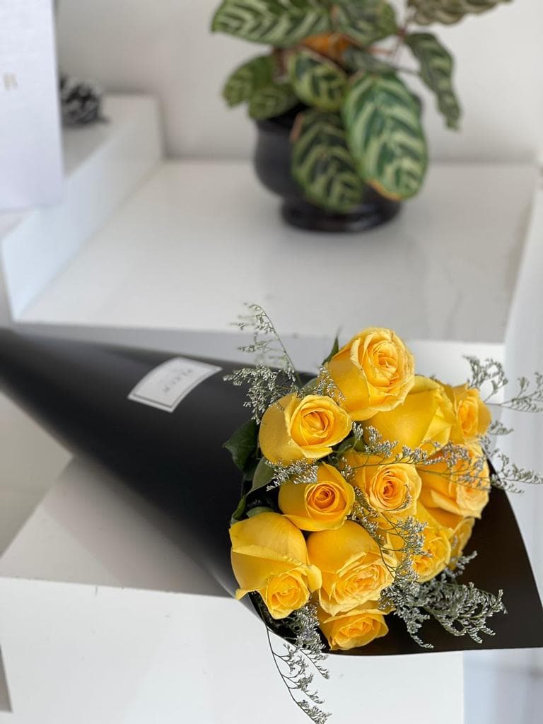 Imagen del producto: Sammy