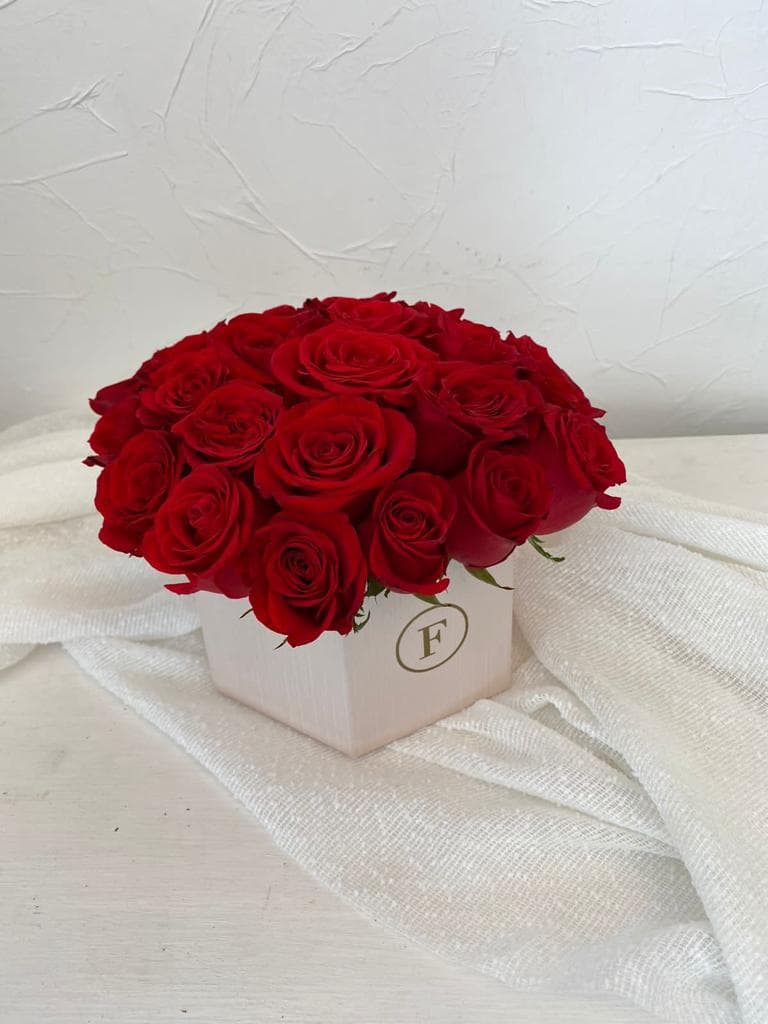 Imagen del producto: Anna I