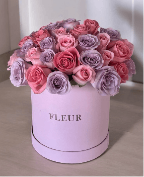 Imagen del producto: Julia VI