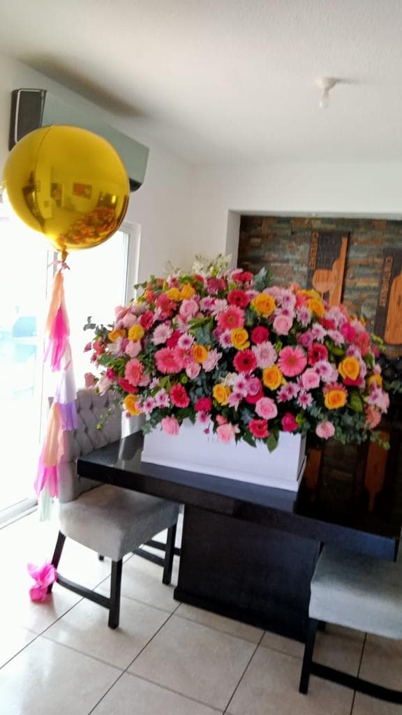 Imagen del producto: Begoña XL