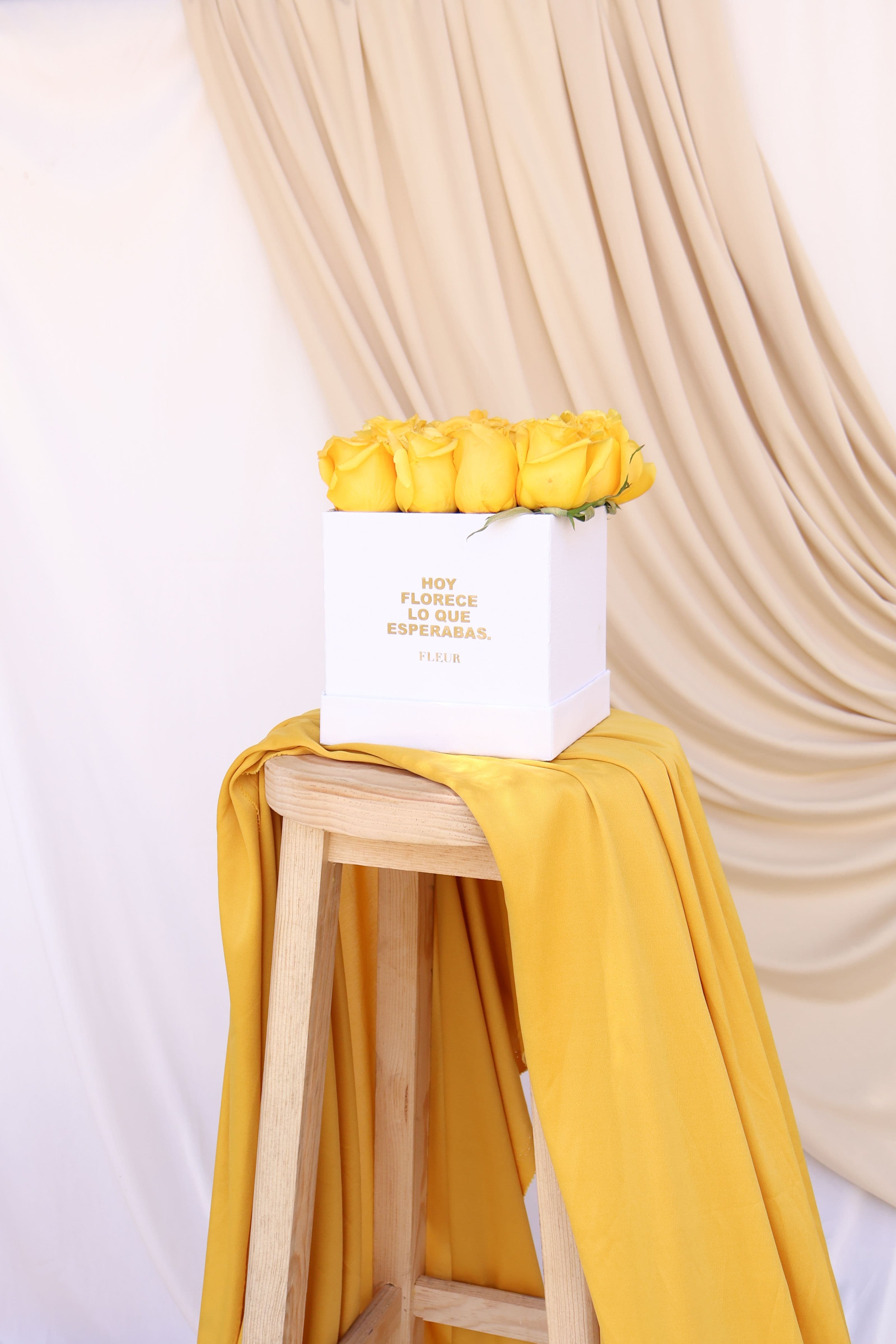 Imagen del producto: Emma