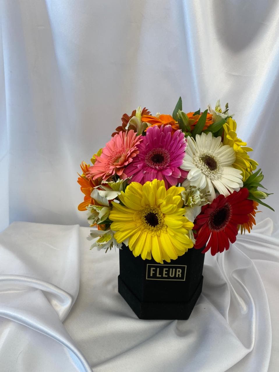 Imagen del producto: Victoria IX