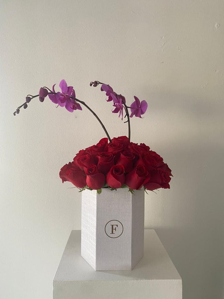 Imagen del producto: Alicia I