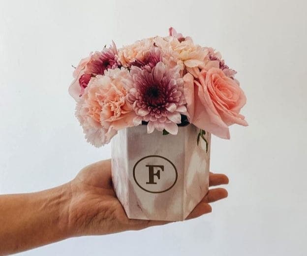 Imagen del producto: Diana II