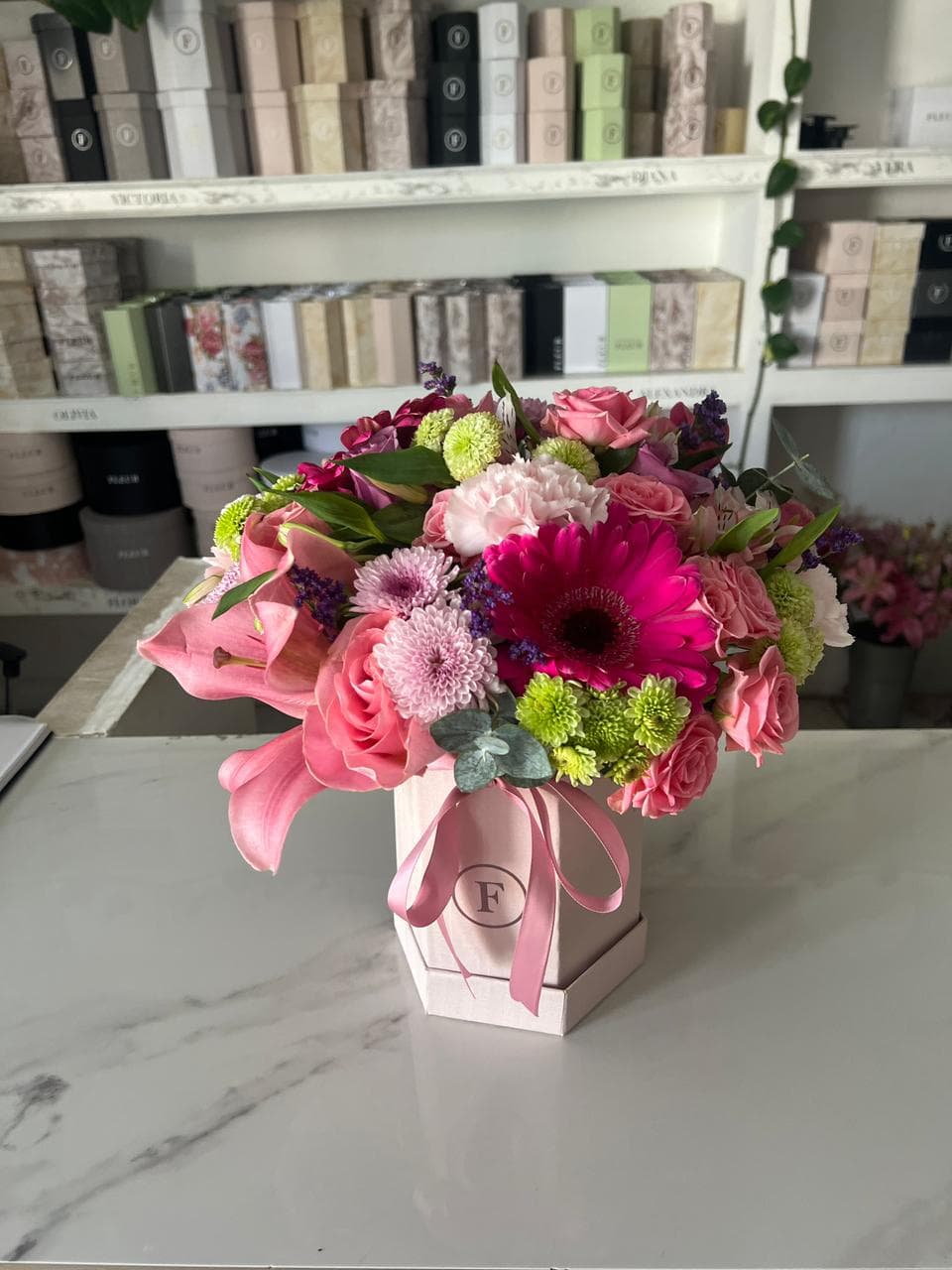 Imagen del producto: Victoria V