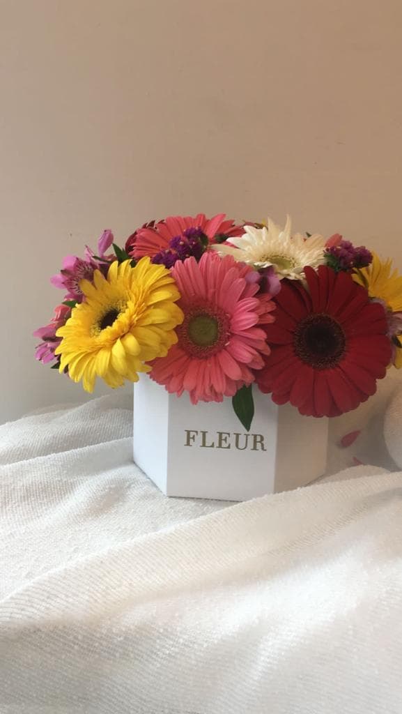 Imagen del producto: Anna VIII