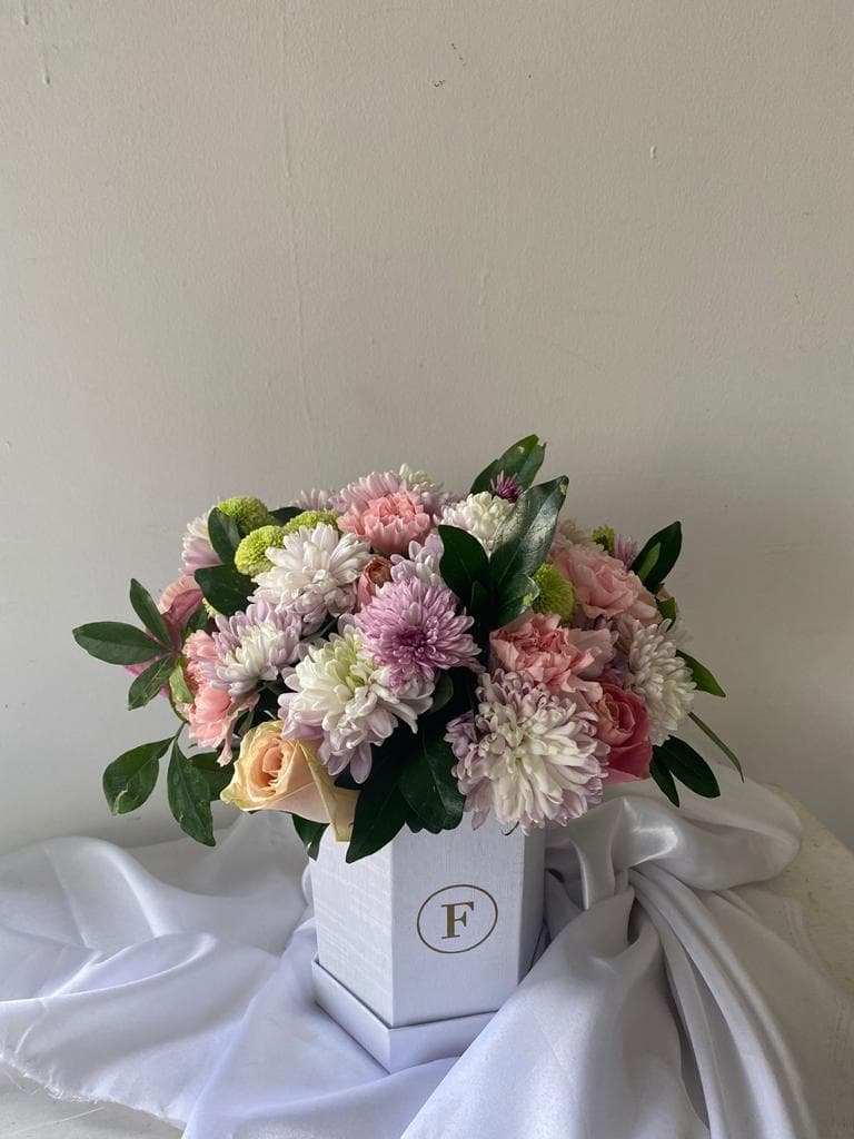 Imagen del producto: Victoria IV