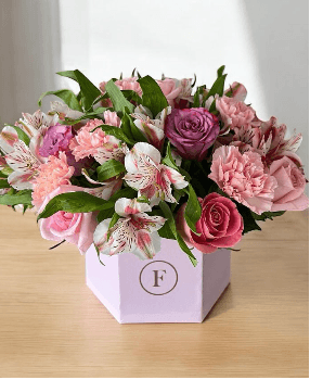 Imagen del producto: Anna VI