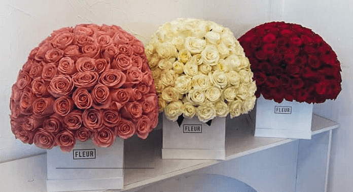 Imagen del producto: Helena VIII