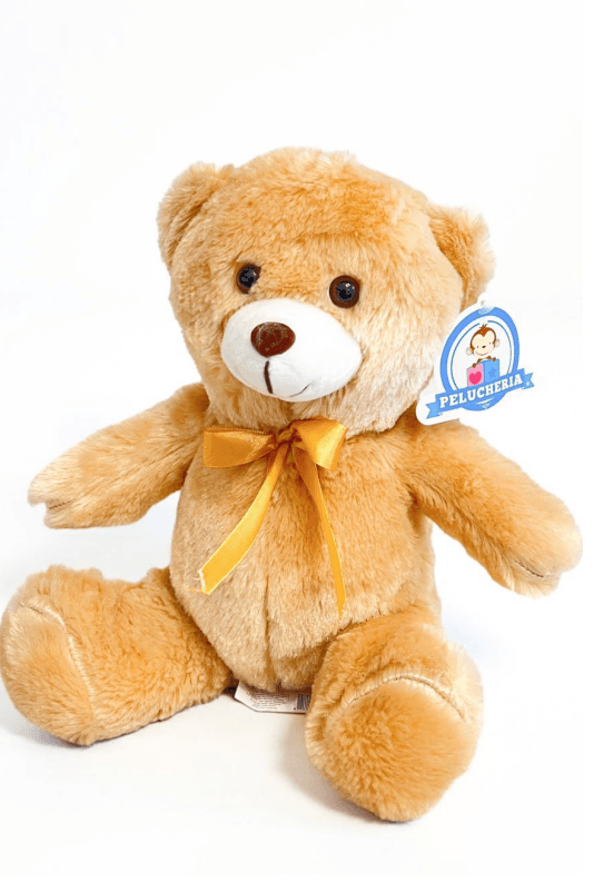 Oso de peluche CH