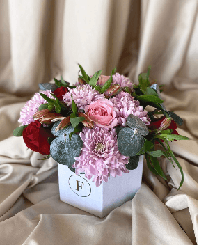 Imagen del producto: Anna IV