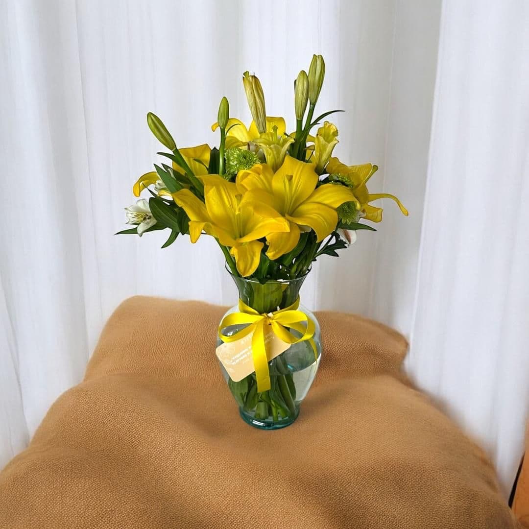 Imagen del producto: Lara