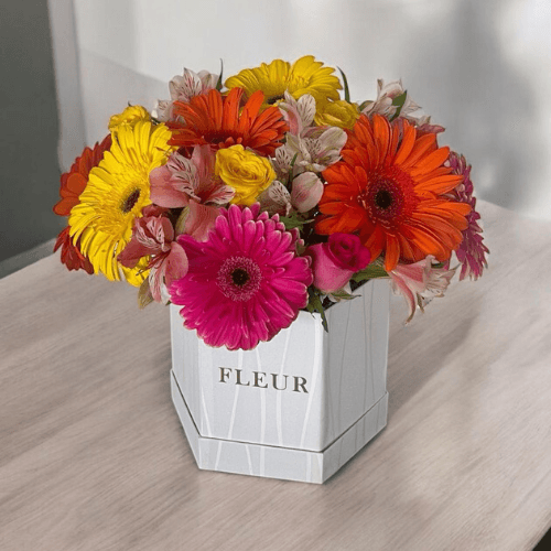 Imagen del producto: Nicole