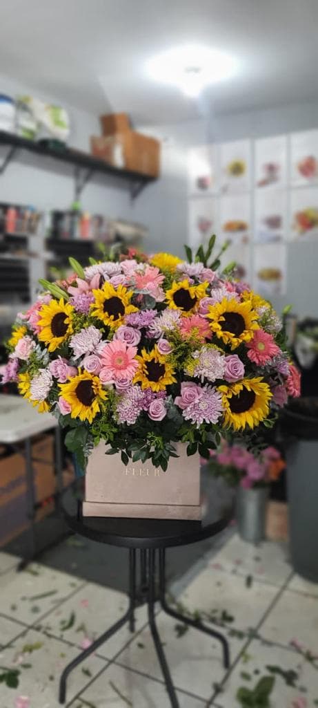 Imagen del producto: Begoña V