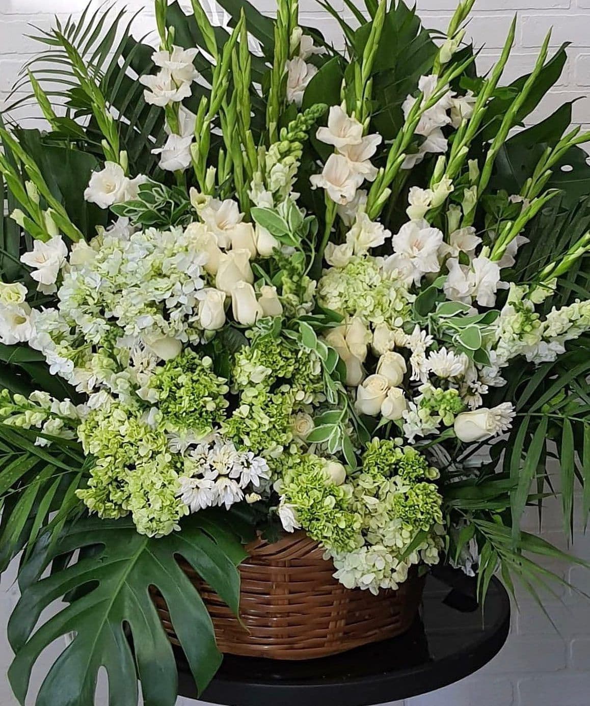 Imagen del producto: Ángela