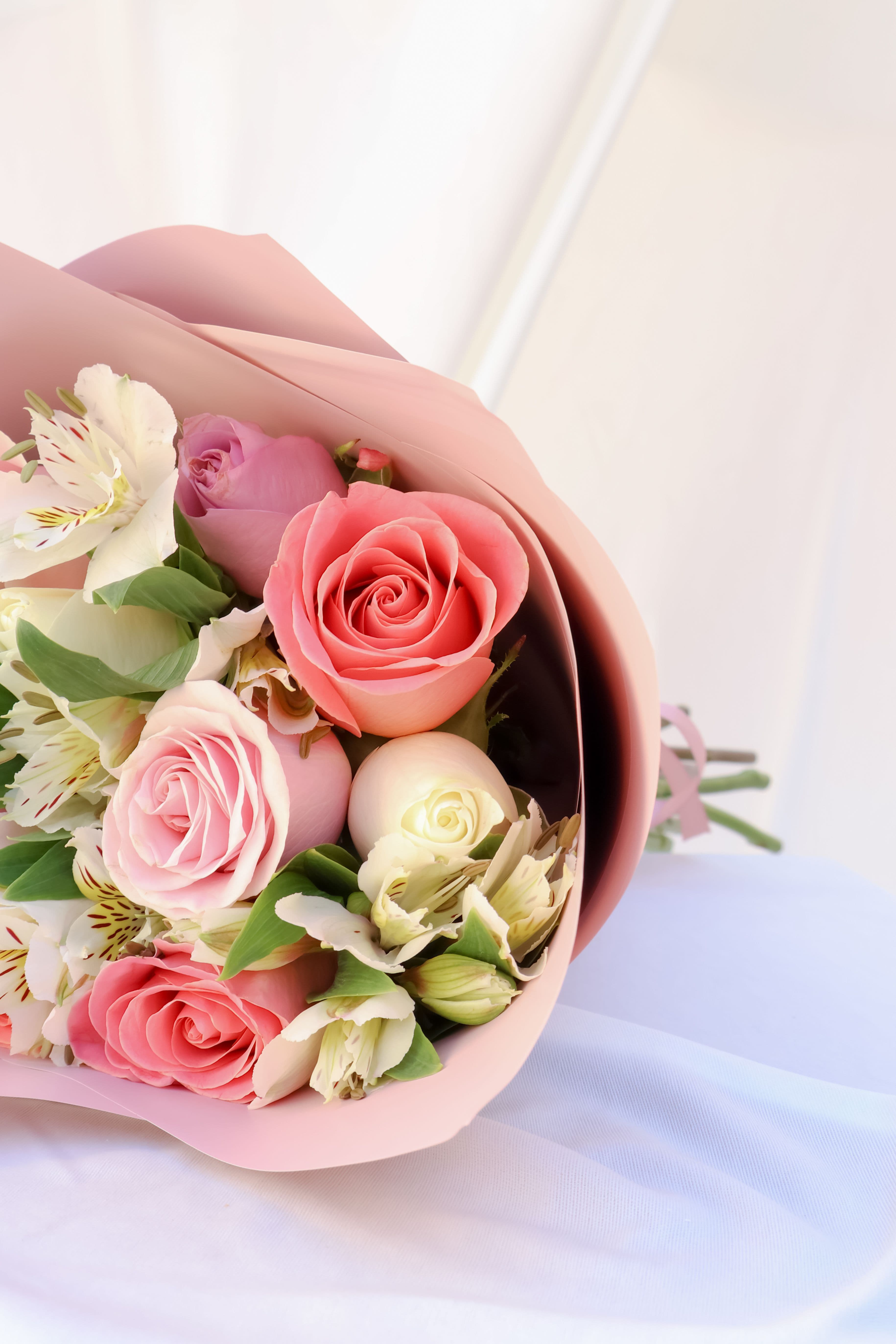 Imagen del producto: Rosa 24 pz