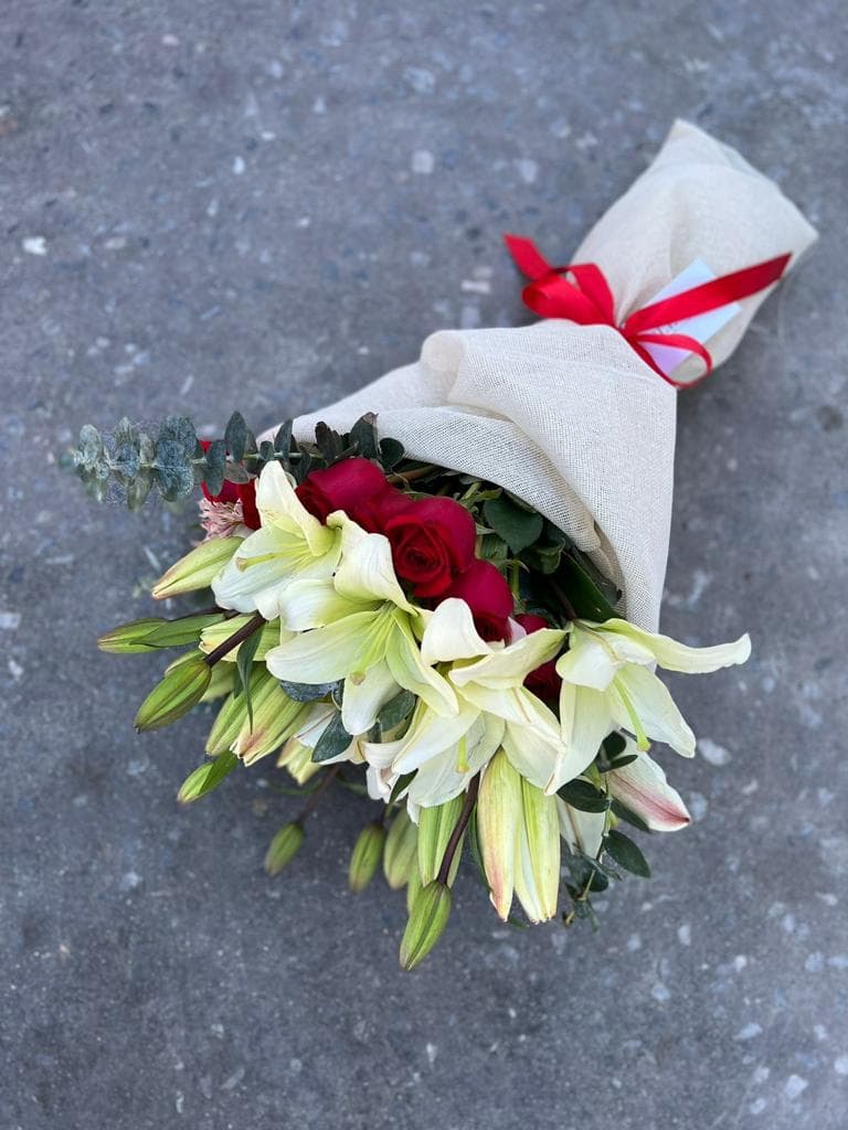 Imagen del producto: Gloria