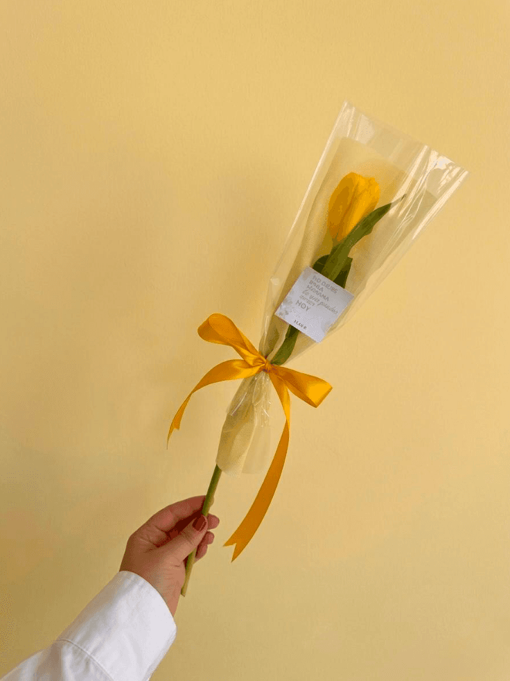 Imagen del producto: Tulipán