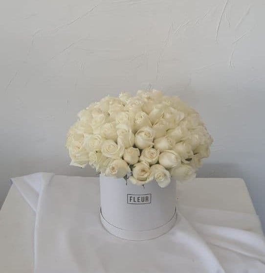 Imagen del producto: Julia XI