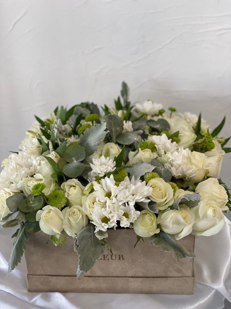 Imagen del producto: Leonor IV