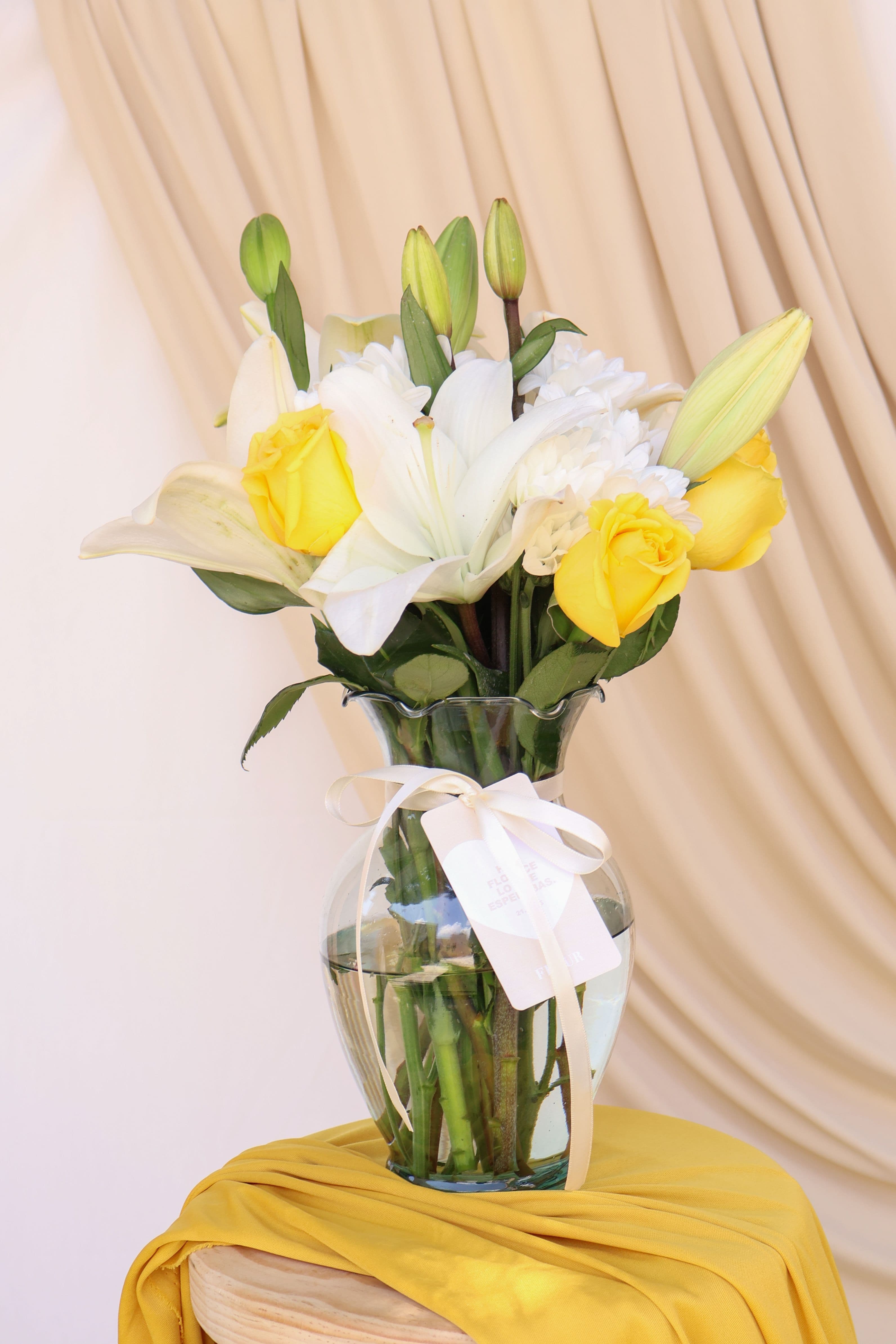 Imagen del producto: Martina