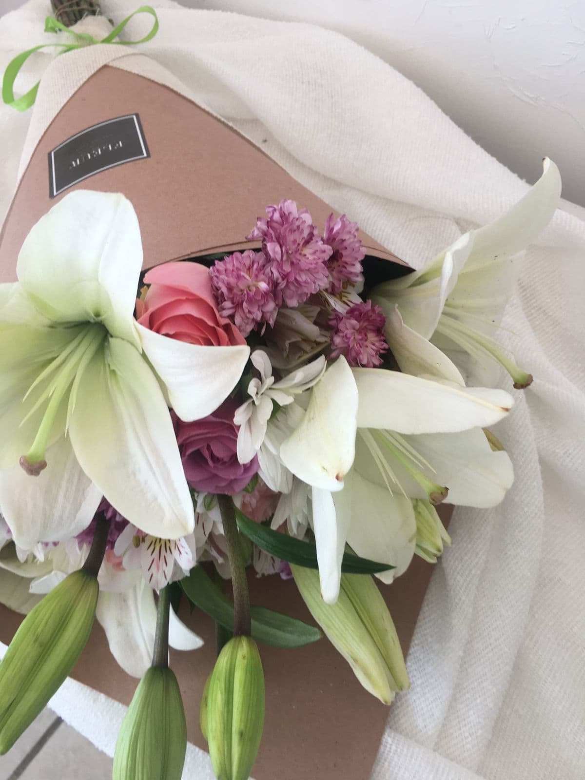 Imagen del producto: Sofía IV