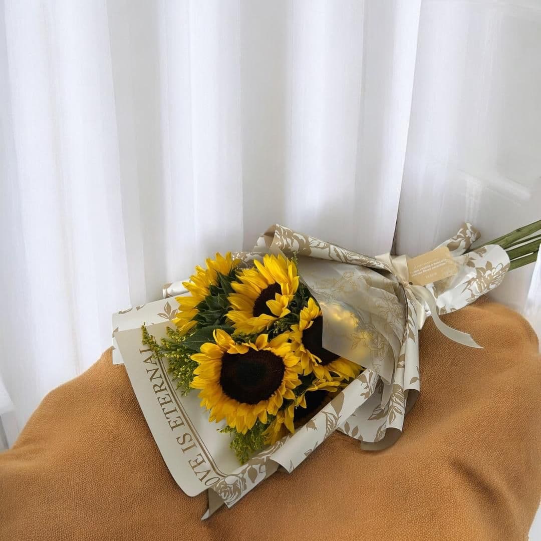 Imagen del producto: Molly