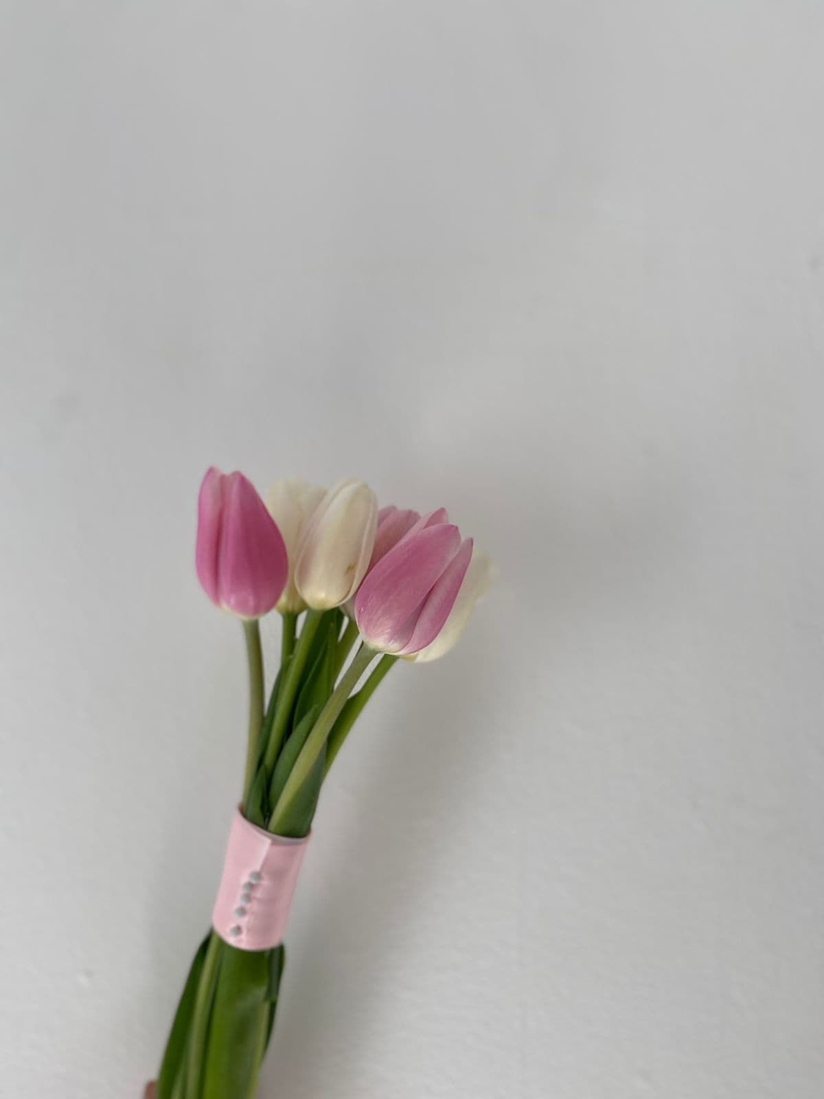 Imagen del producto: Tulipanes