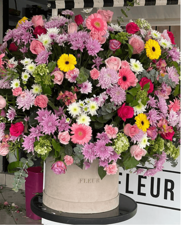 Imagen del producto: Matilda III