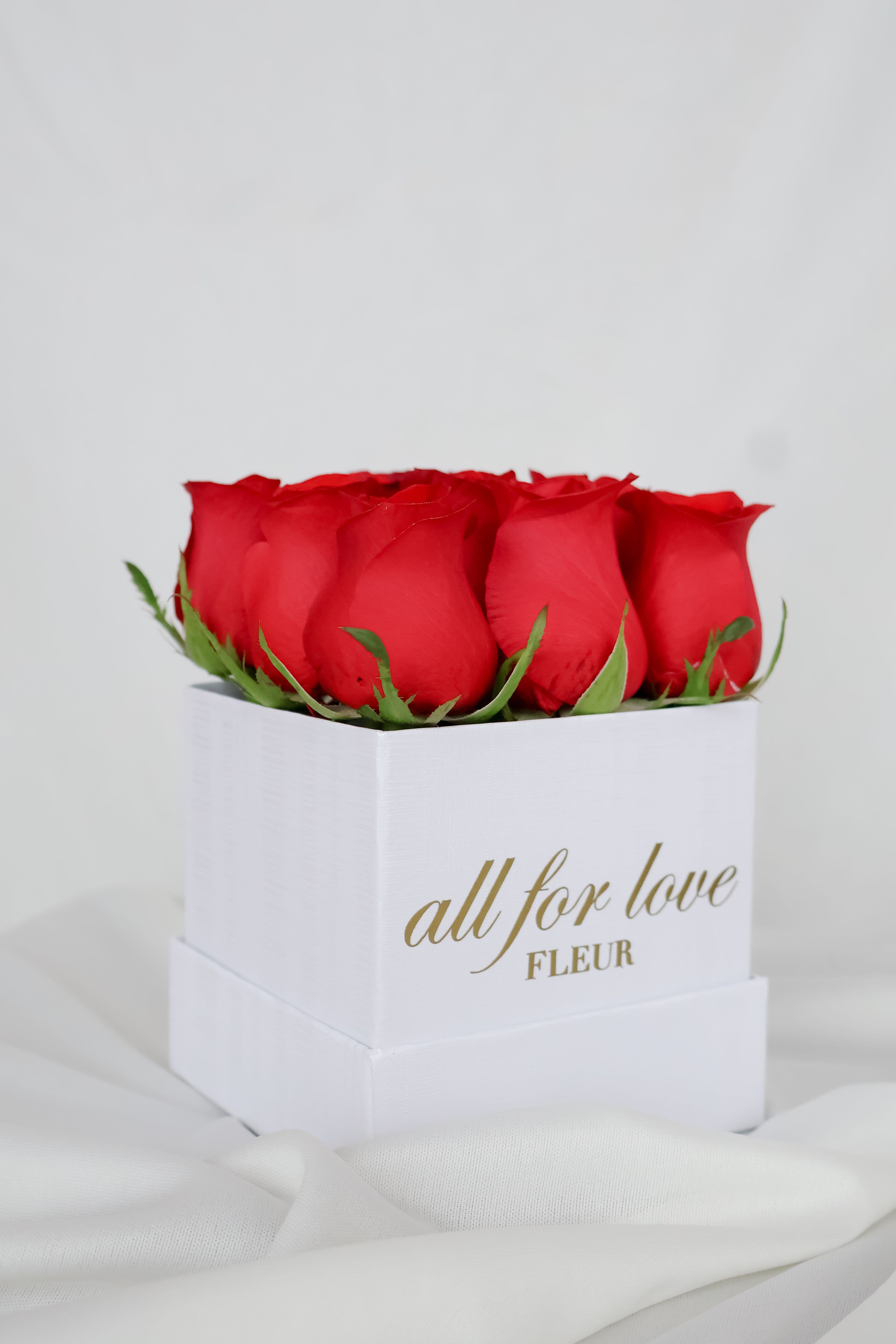 Imagen del producto: Vera