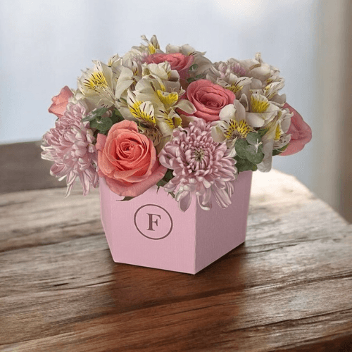 Imagen del producto: Anna