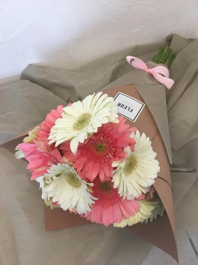 Imagen del producto: Lucy II