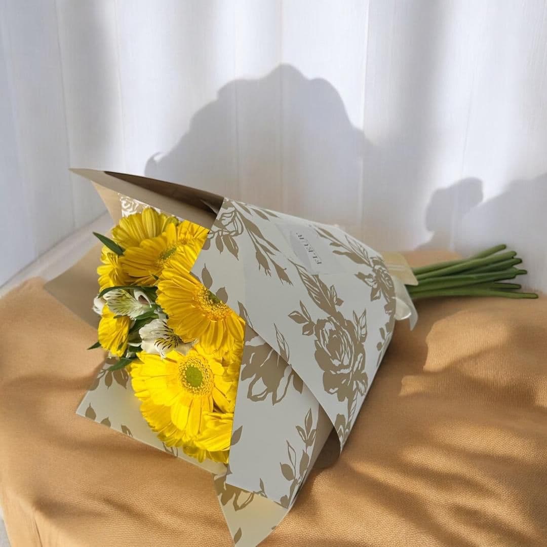 Imagen del producto: Lucy