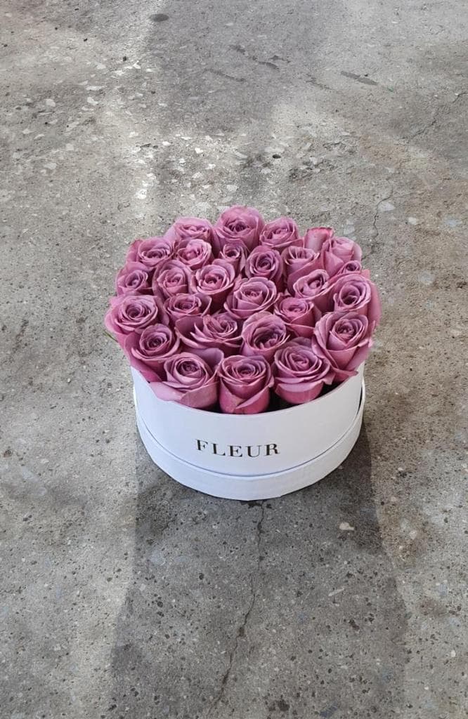 Imagen del producto: Aria IV