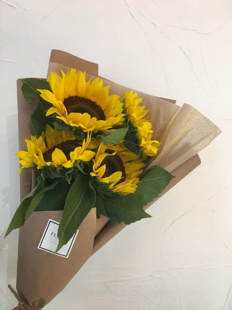 Imagen del producto: Molly III