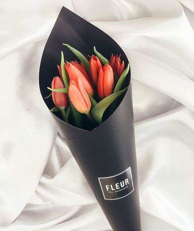 Imagen del producto: Florencia VI