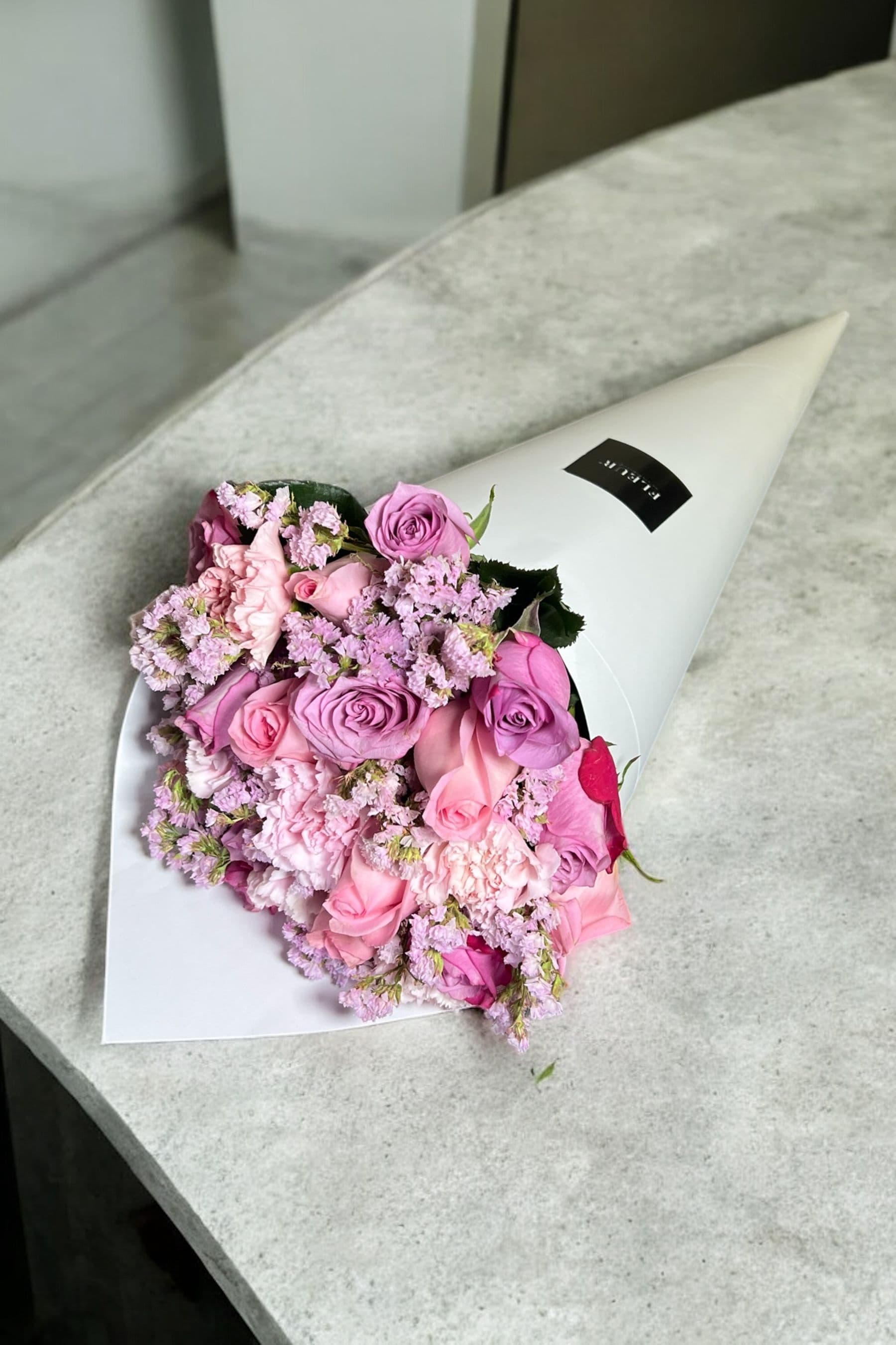 Imagen del producto: Teddy II