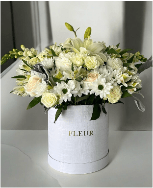 Imagen del producto: Julia XII