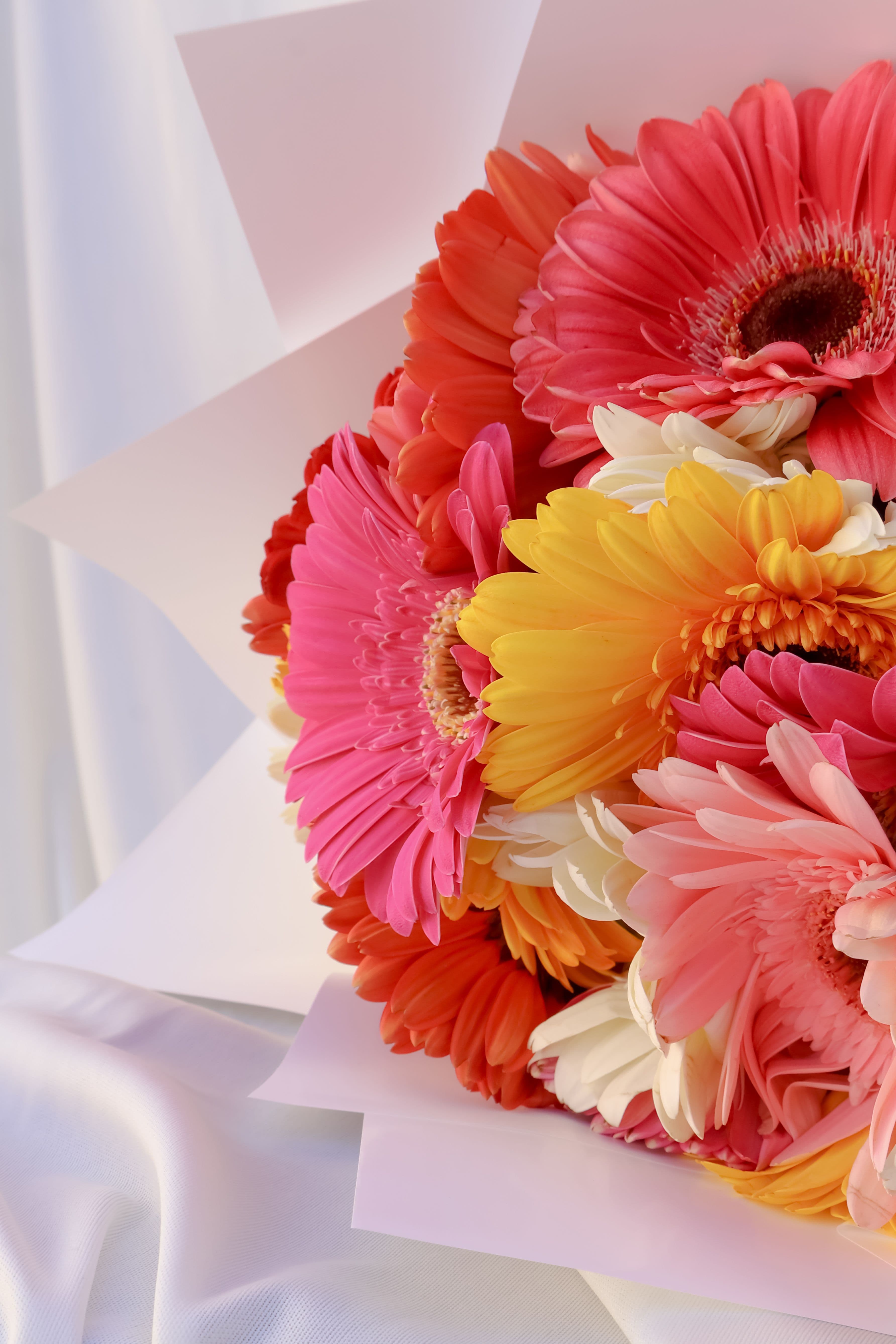 Imagen del producto: Lucy