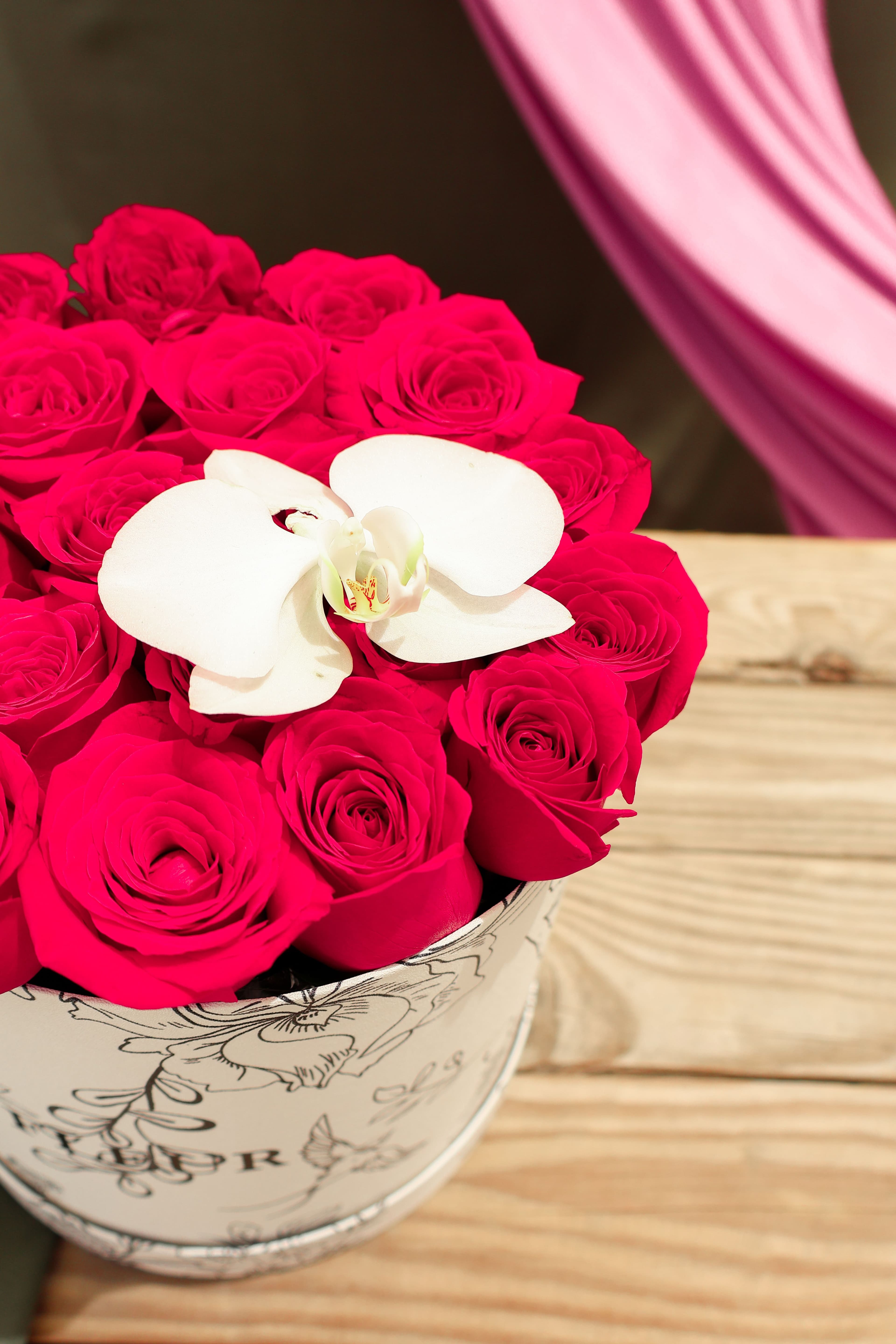 Imagen del producto: Julia