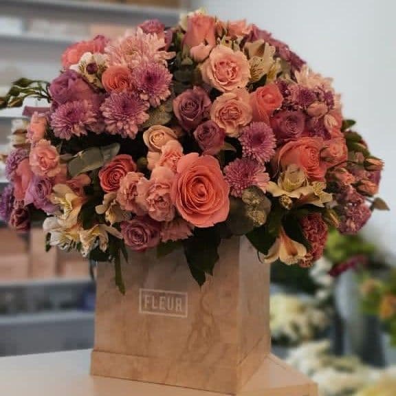 Imagen del producto: Helena V