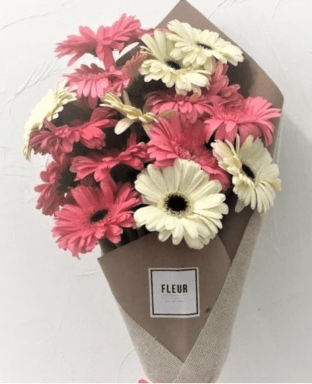 Imagen del producto: Mara IV