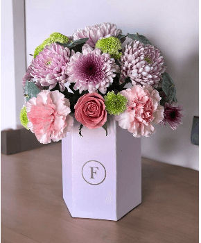 Imagen del producto: Victoria VI