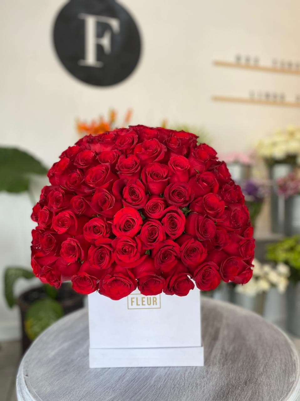 Imagen del producto: Helena II