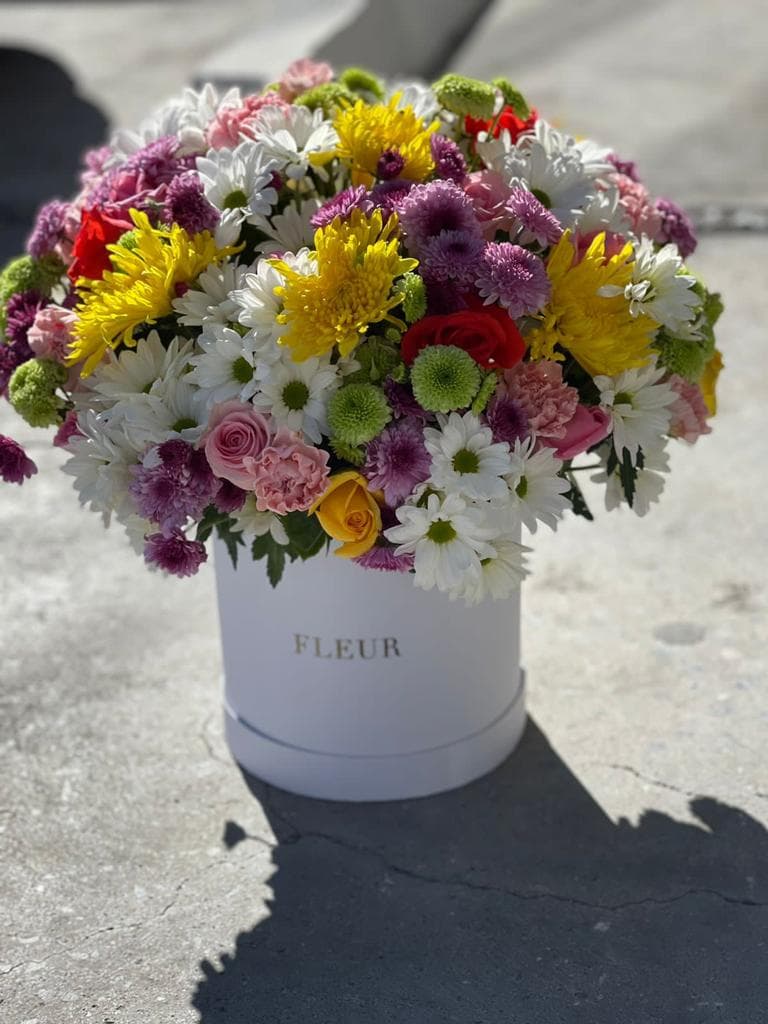 Imagen del producto: Julia V