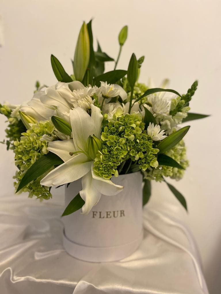 Imagen del producto: Julia X